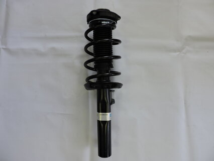 Tlumič přední kompletní OCTAVIA II., BILSTEIN 123495013BC