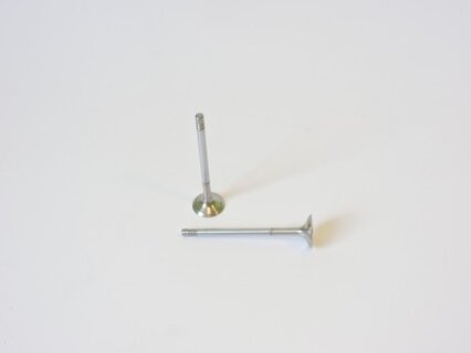 Ventil výfukový OCTAVIA