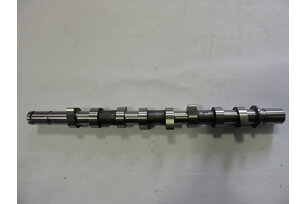 Vačková hřídel RENAULT 1,5 DCi, 8200089894, HV0020, 50006314