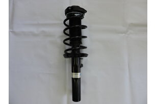 Tlumič přední kompletní OCTAVIA II., BILSTEIN 123495010DB